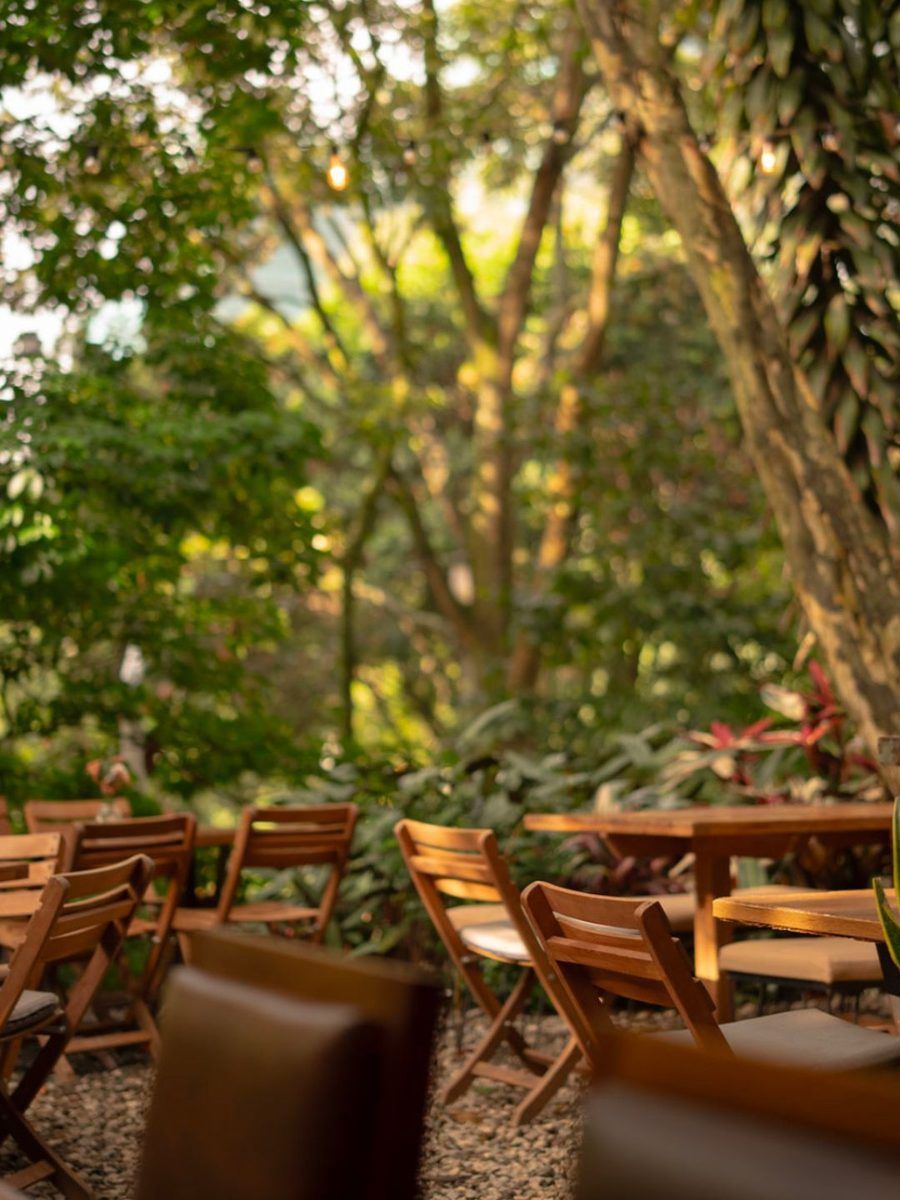 Wooden tables and chairs in the garden of Bread Factory, among trees and plants